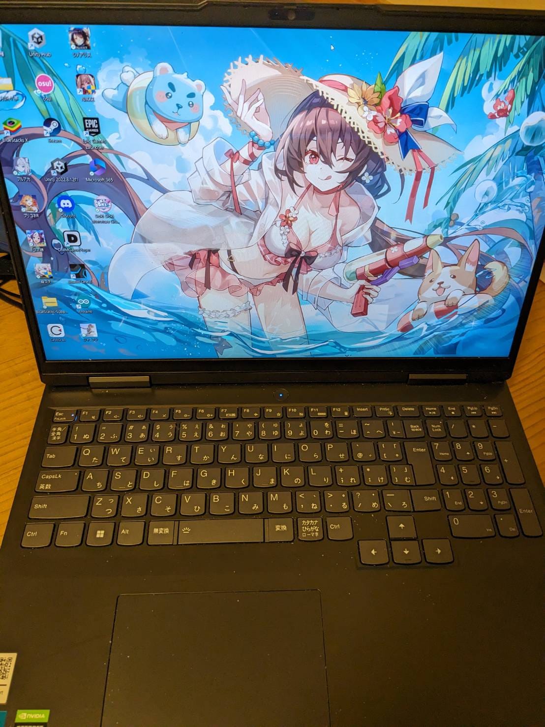 IdeaPad Gaming.jpg