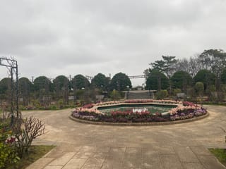 うえしま